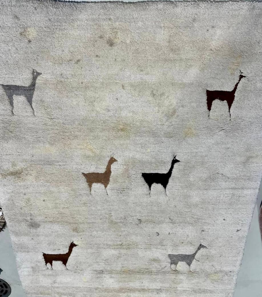 Cat-motif carpet before cleaning