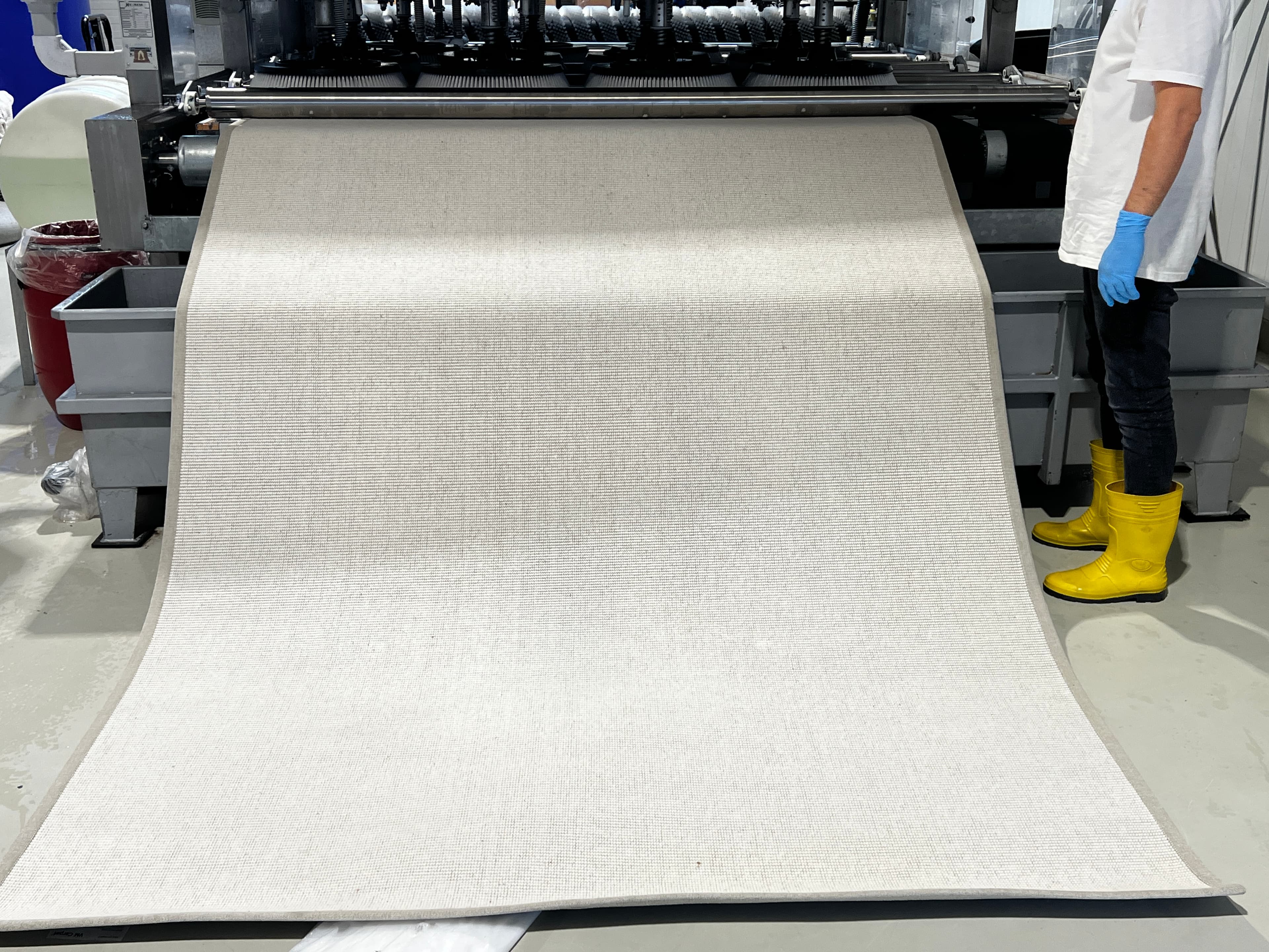 Professional deep cleaning of carpets