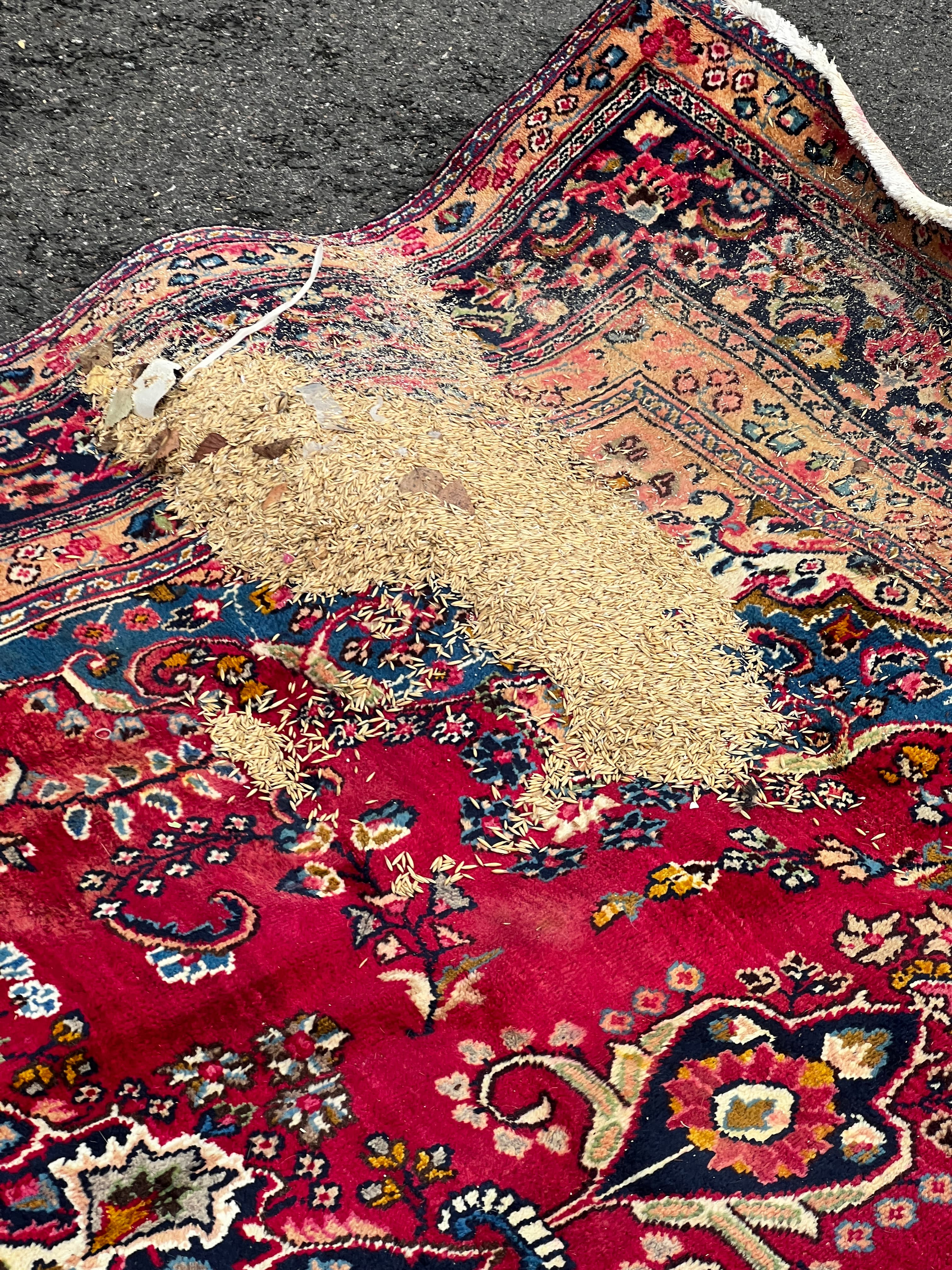 Hand-knotted carpet cleaning. Read this before you start