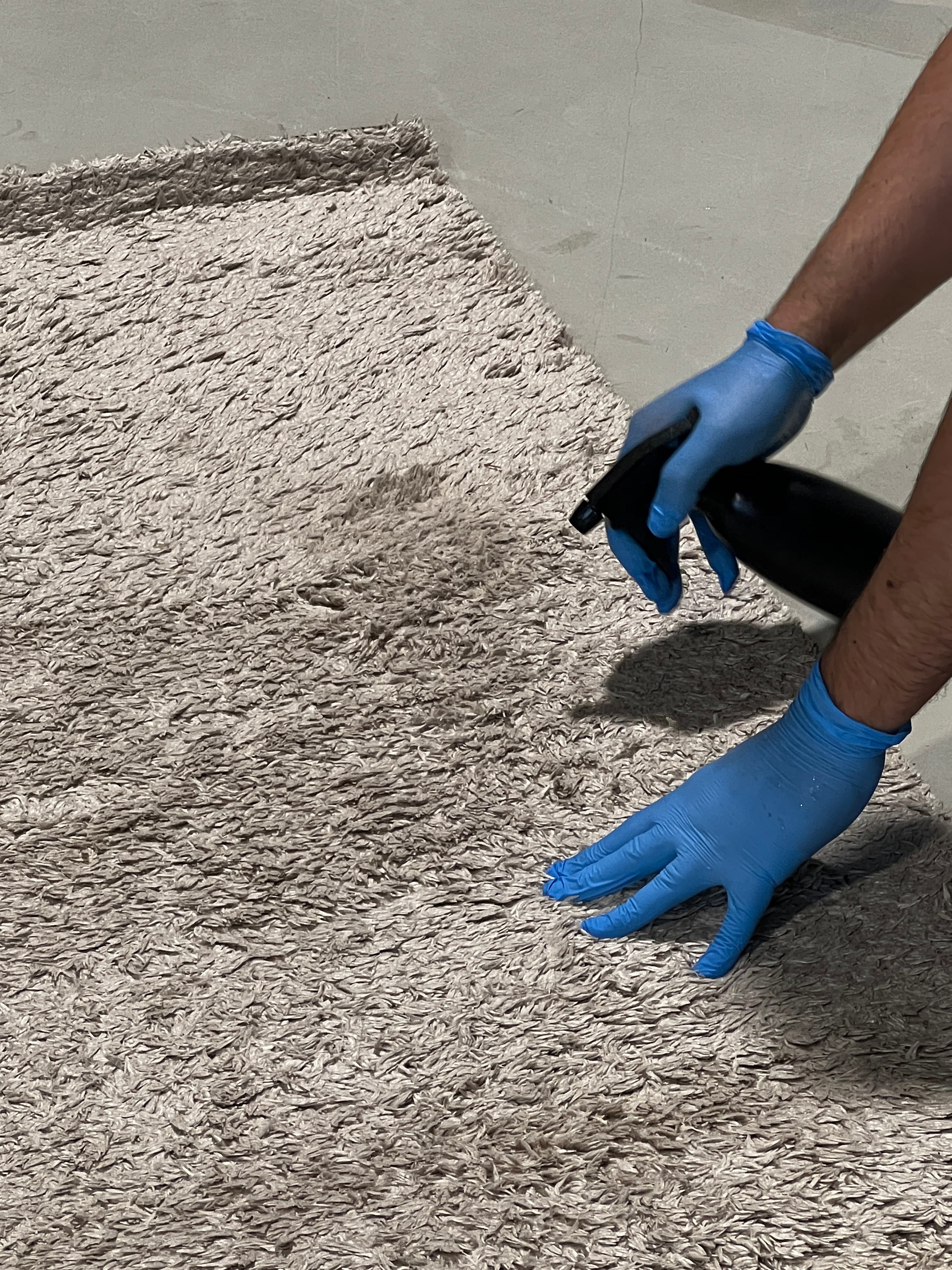 Shag rug like new after cleaning