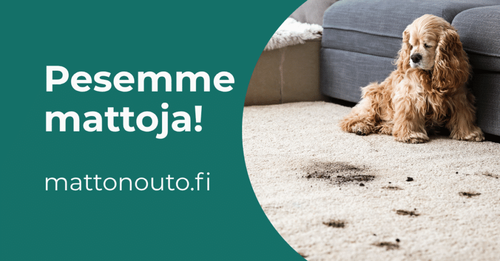 mattopesu helsinki